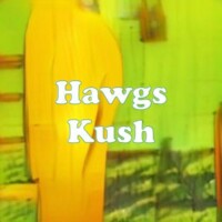 Hawgs Kush strain