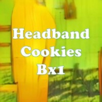 Headband Cookies Bx1 strain