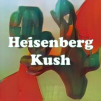 Heisenberg Kush strain