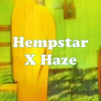 Hempstar X Haze strain
