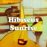 Hibiscus Sunrise strain