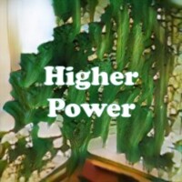 Higher Power strain