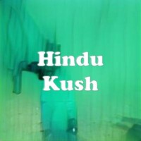 Hindu Kush strain
