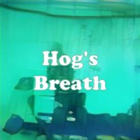 Hog's Breath strain