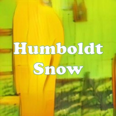 Humboldt Snow strain