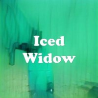 Iced Widow strain