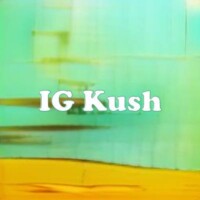IG Kush strain