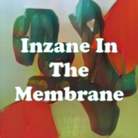 Inzane In The Membrane strain