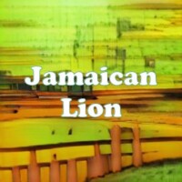 Jamaican Lion strain