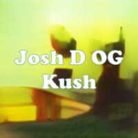 Josh D OG Kush strain