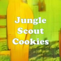 Jungle Scout Cookies strain