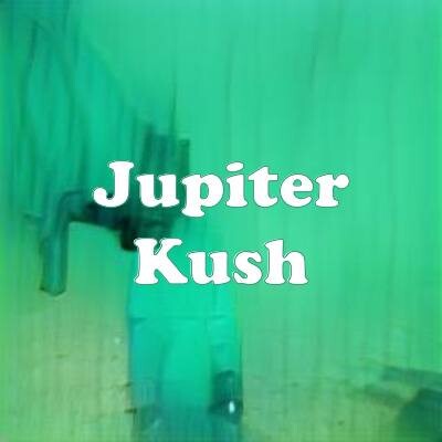 Jupiter Kush strain