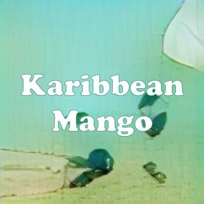 Karibbean Mango strain