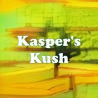 Kasper's Kush strain