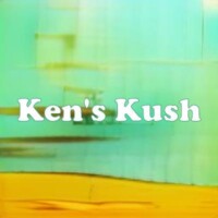 Ken's Kush strain
