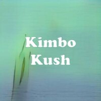 Kimbo Kush strain