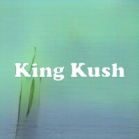 King Kush strain