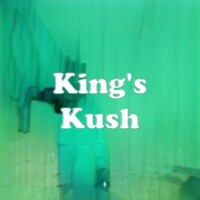 King's Kush strain