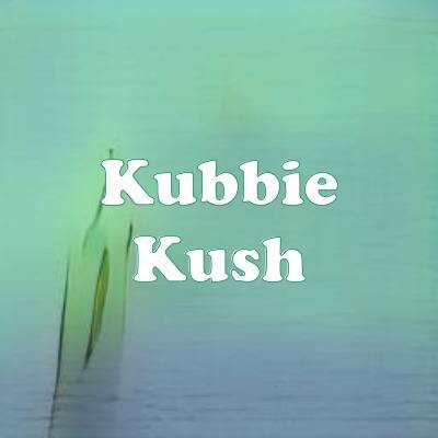 Kubbie Kush strain