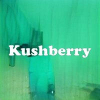 Kushberry strain