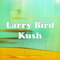 Larry Bird Kush strain