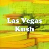 Las Vegas Kush strain
