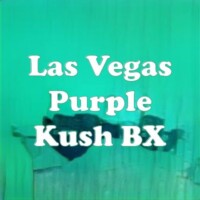 Las Vegas Purple Kush BX strain