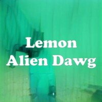 Lemon Alien Dawg strain