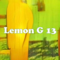Lemon G 13 strain
