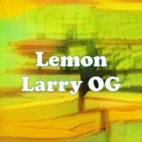 Lemon Larry OG strain