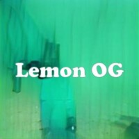 Lemon OG strain