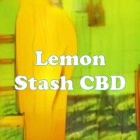 Lemon Stash CBD strain