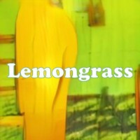 Lemongrass strain