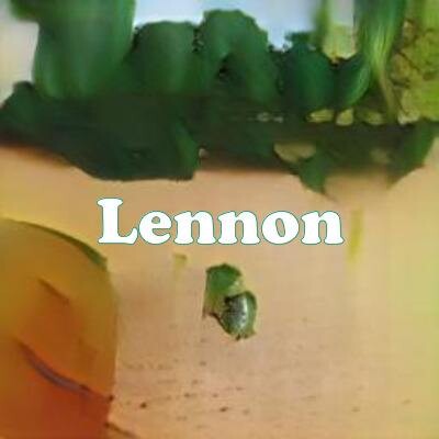 Lennon strain