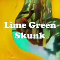 Lime Green Skunk strain