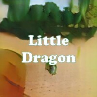 Little Dragon strain