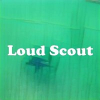 Loud Scout strain