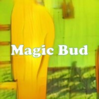 Magic Bud strain