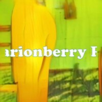 Marionberry Pie strain