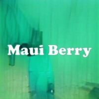 Maui Berry strain