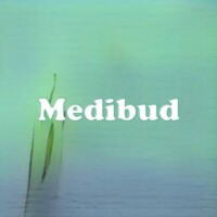 Medibud strain