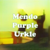 Mendo Purple Urkle strain