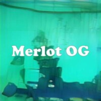 Merlot OG strain