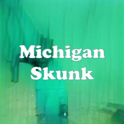 Michigan Skunk strain