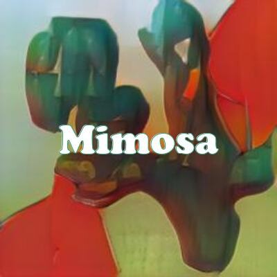Mimosa strain
