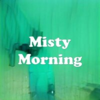 Misty Morning strain