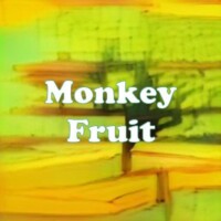 Monkey Fruit strain