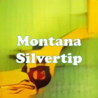 Montana Silvertip strain