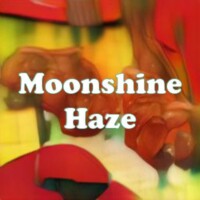Moonshine Haze strain