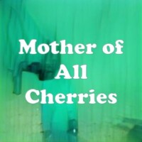 Mother of All Cherries strain